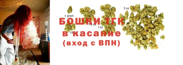 ешки Алексин