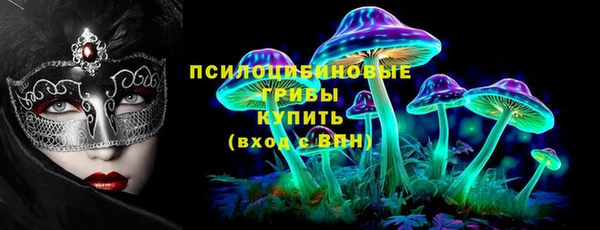 ешки Алексин