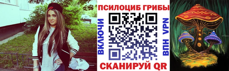 ссылка на мегу ONION  Ахтубинск  Псилоцибиновые грибы Psilocybe 