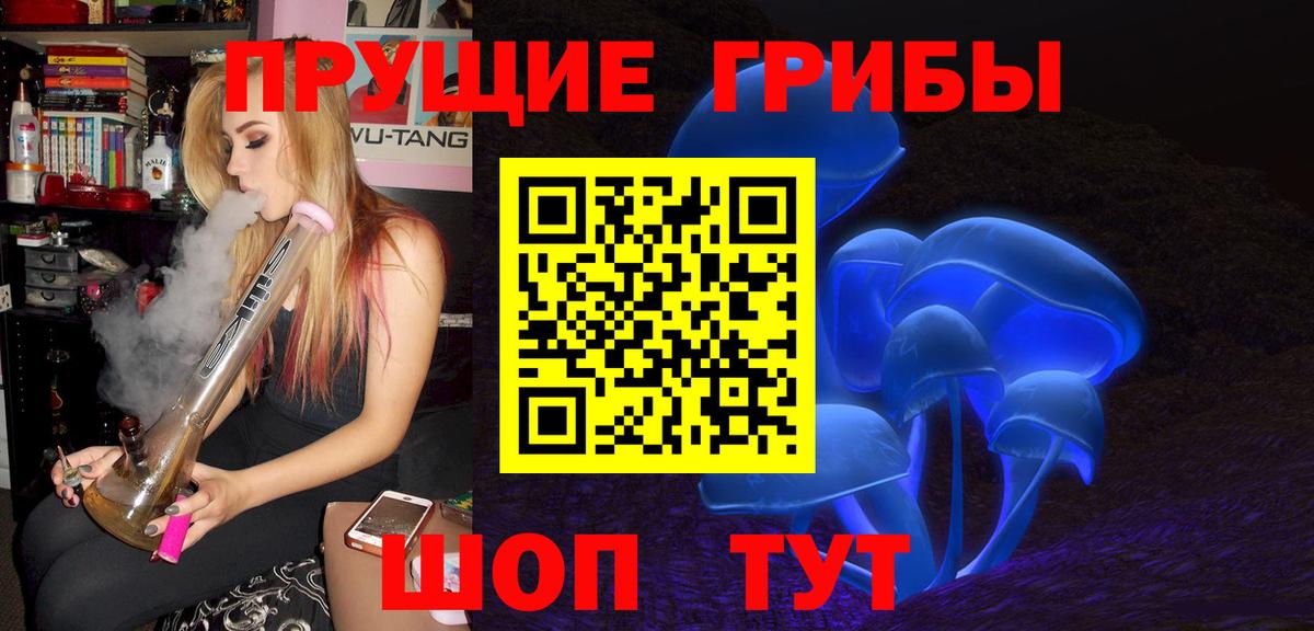 Галлюциногенные грибы прущие грибы  Вход с VPN  Ахтубинск 
